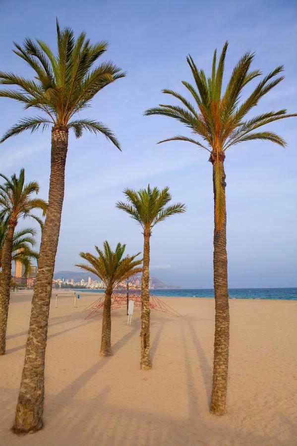 Ibis Budget Alicante Pension Sin Comedor Exterior foto